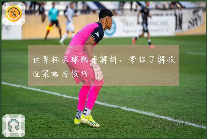 世界杯买球赔率解析，带你了解投注策略与技巧