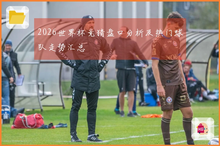 2026世界杯竞猜盘口分析及热门球队走势汇总