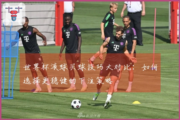 世界杯滚球买球技巧大对比：如何选择更稳健的下注策略