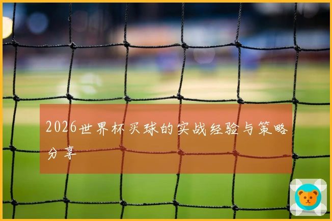 2026世界杯买球的实战经验与策略分享