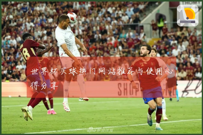 世界杯买球热门网站推荐与使用心得分享