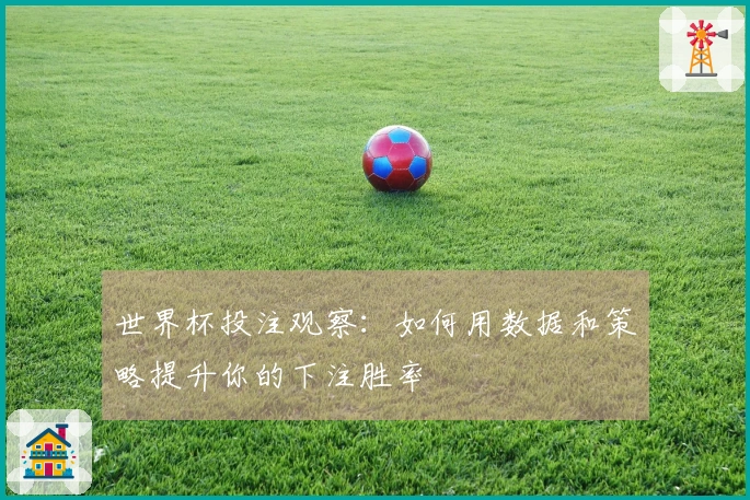 世界杯投注观察：如何用数据和策略提升你的下注胜率