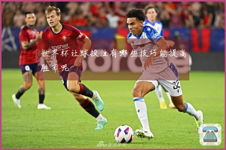 世界杯让球投注有哪些技巧能提高胜率呢