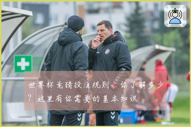 世界杯竞猜投注规则，你了解多少？这里有你需要的基本知识