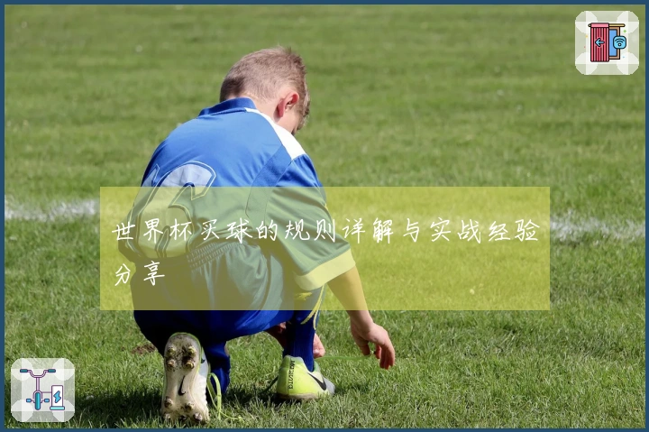 世界杯买球的规则详解与实战经验分享