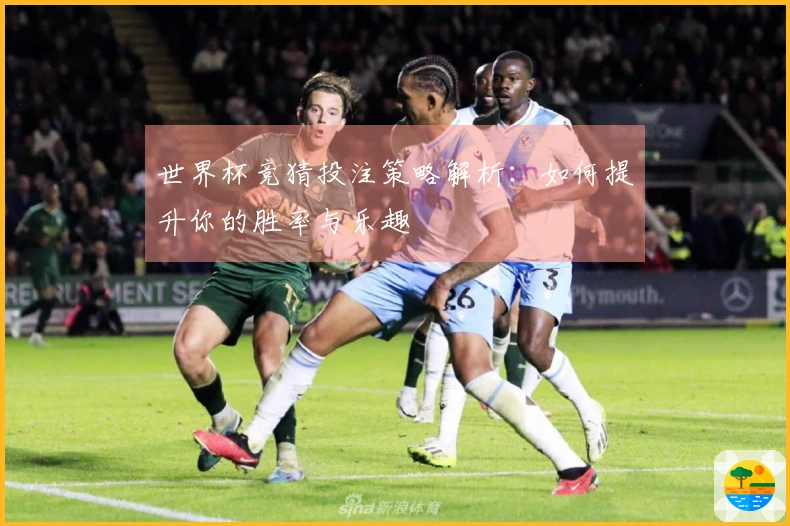 世界杯竞猜投注策略解析：如何提升你的胜率与乐趣
