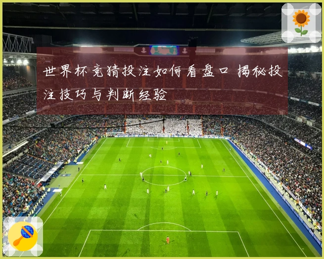 世界杯竞猜投注如何看盘口 揭秘投注技巧与判断经验