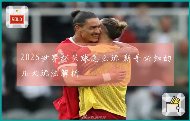 2026世界杯买球怎么玩 新手必知的几大玩法解析