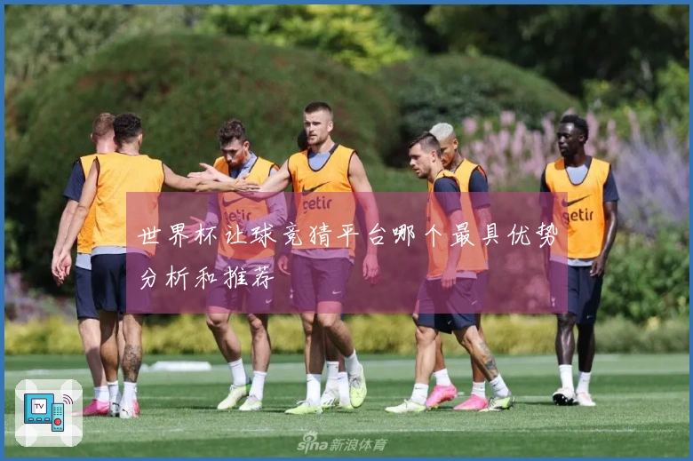 世界杯让球竞猜平台哪个最具优势分析和推荐