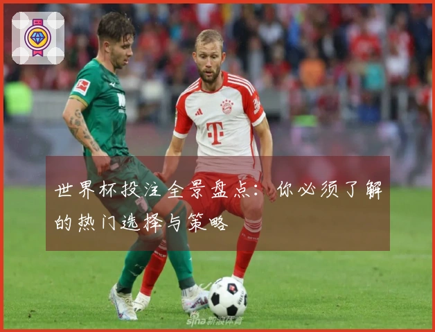 世界杯投注全景盘点：你必须了解的热门选择与策略