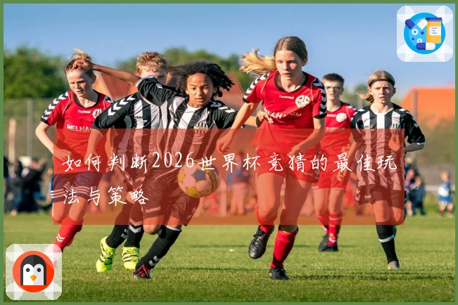 如何判断2026世界杯竞猜的最佳玩法与策略