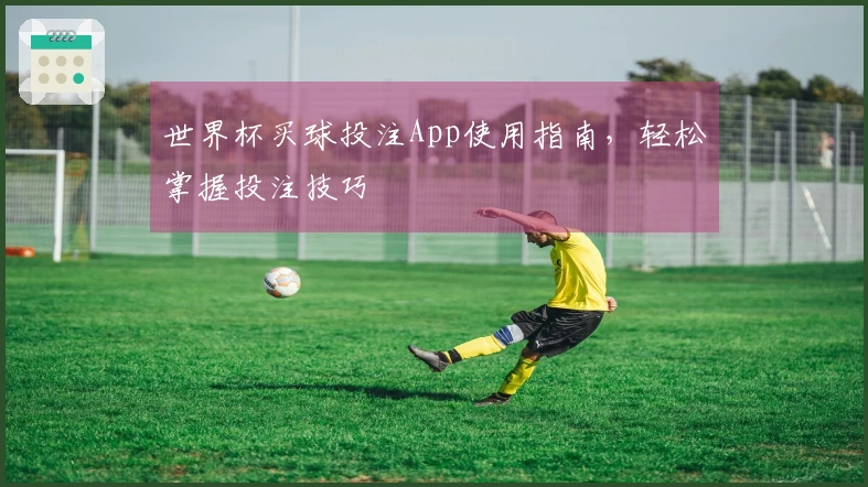 世界杯买球投注App使用指南，轻松掌握投注技巧
