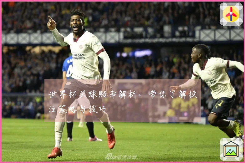 世界杯买球赔率解析，带你了解投注策略与技巧