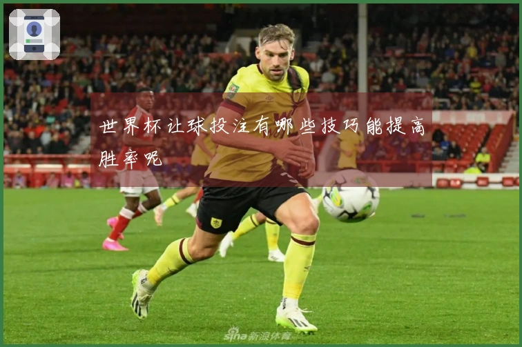 世界杯让球投注有哪些技巧能提高胜率呢